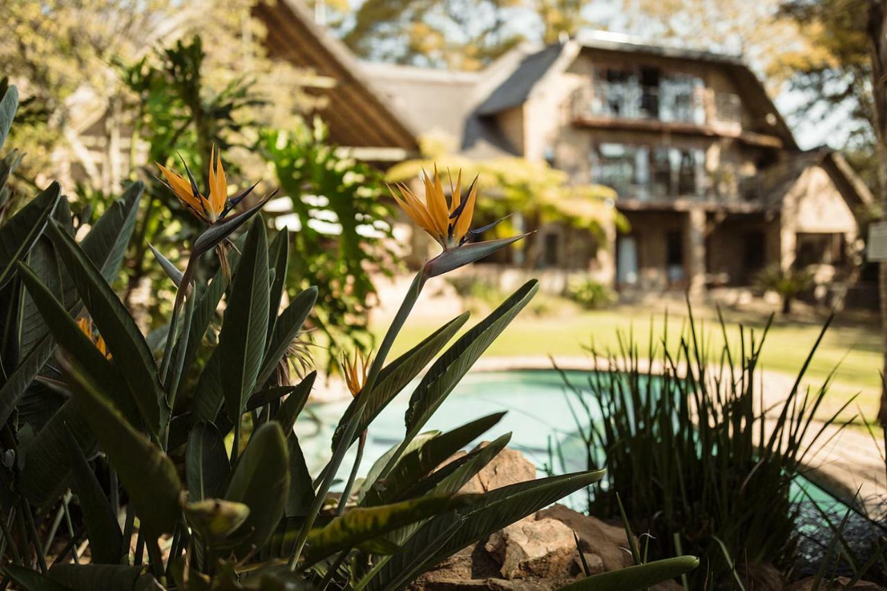 50 On Shepherd Boutique Guest House Sandton Exterior photo